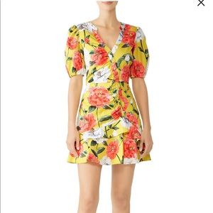 NWT Parker Minna Dress